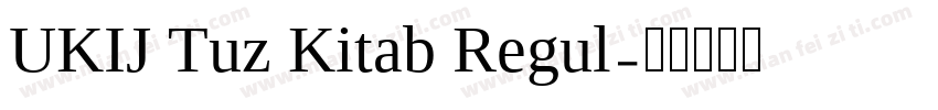 UKIJ Tuz Kitab Regul字体转换